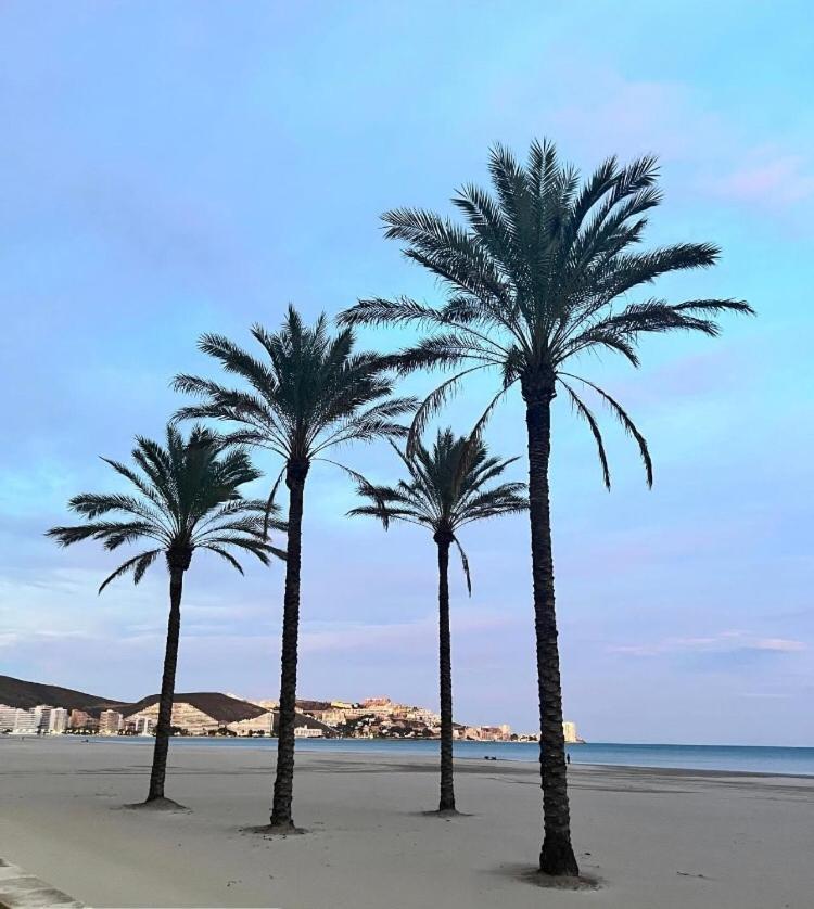 A 50 M De La Plage 쿠엘라 외부 사진